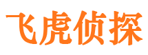 红河侦探公司